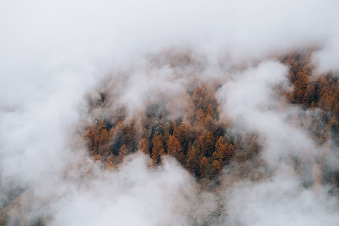 93阅兵与落寞的特朗普：与其酸溜溜，不如坦坦荡荡阳谋